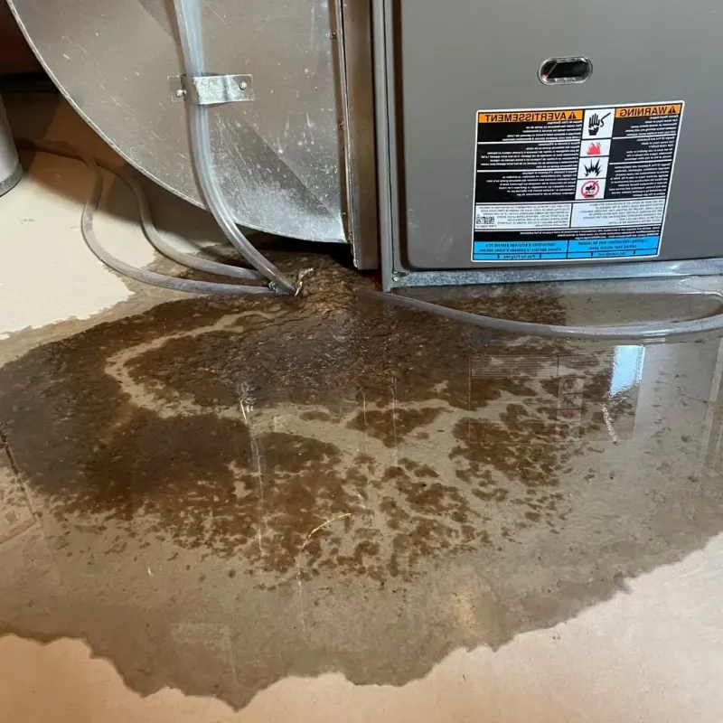 Pipe Burst and Leak Restoration in Fulton County, GA